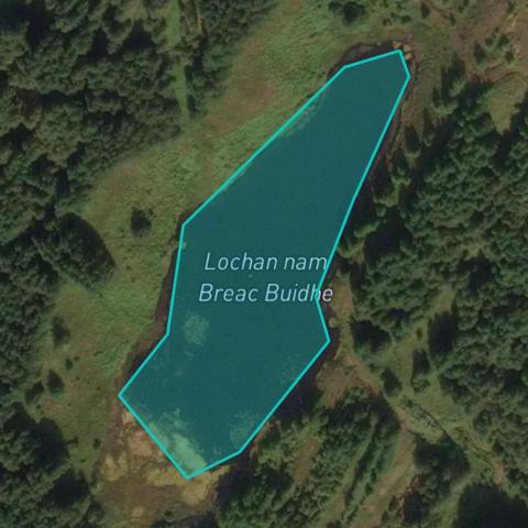 Breac Fishing at Lochan nam Breac Buidhe → Explore Fishing Spots & Catches