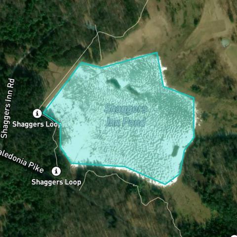 Shagger Map Fishing at Shaggers Inn Pond, Pennsylvania → Explore Fishing Spots ...